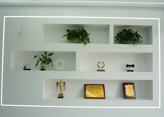 Honor Wall Display